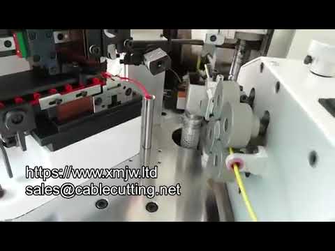 WPM 10ly One Head Ferrule Terminal Crimping One Head Tinning Machine