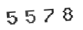 Verification Code Image
